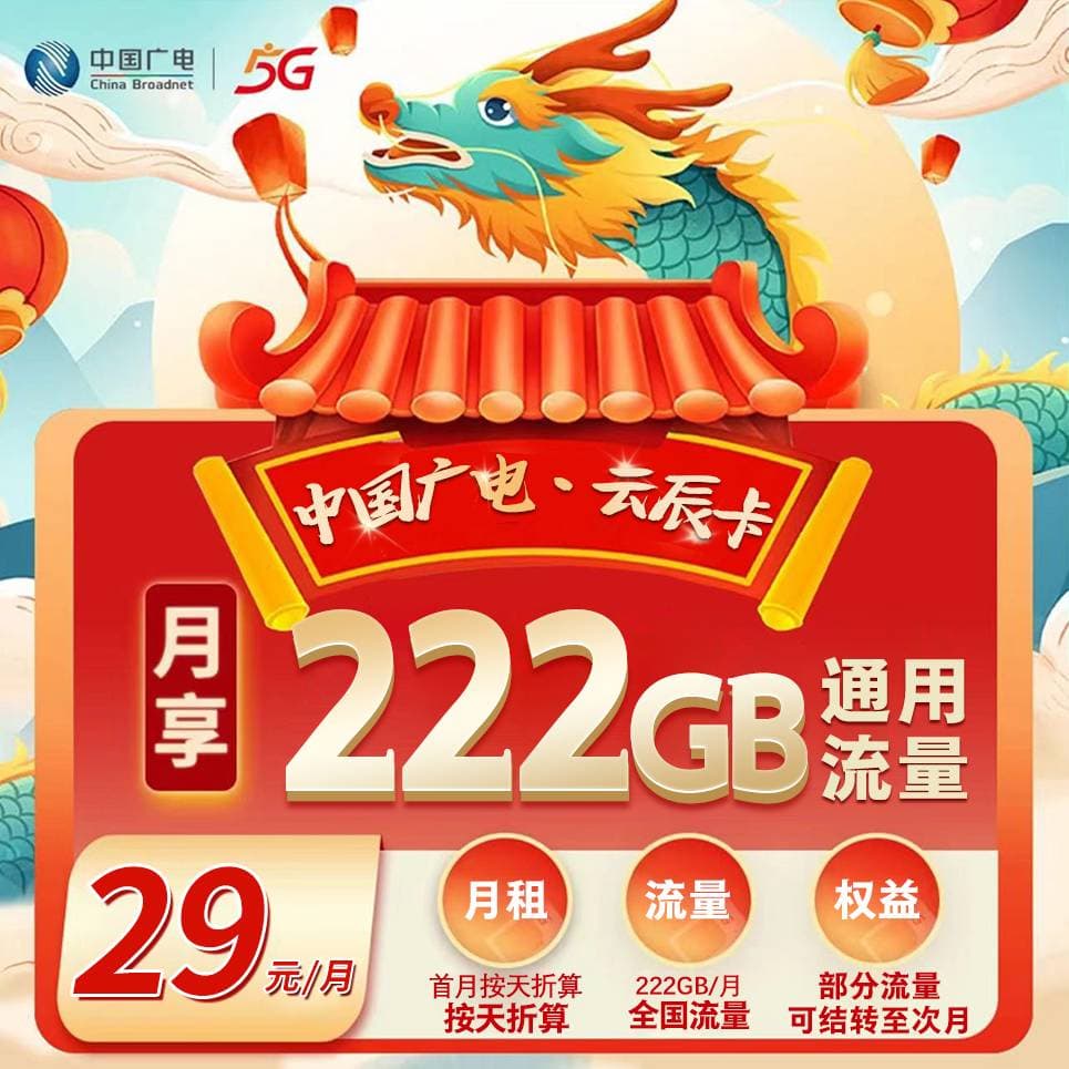 ⭐广电云辰卡【29元222G】
